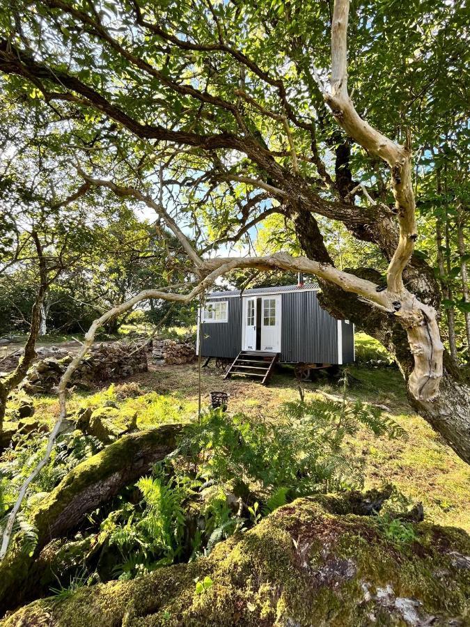 Вілла The Hazel Hut Вестпорт Екстер'єр фото