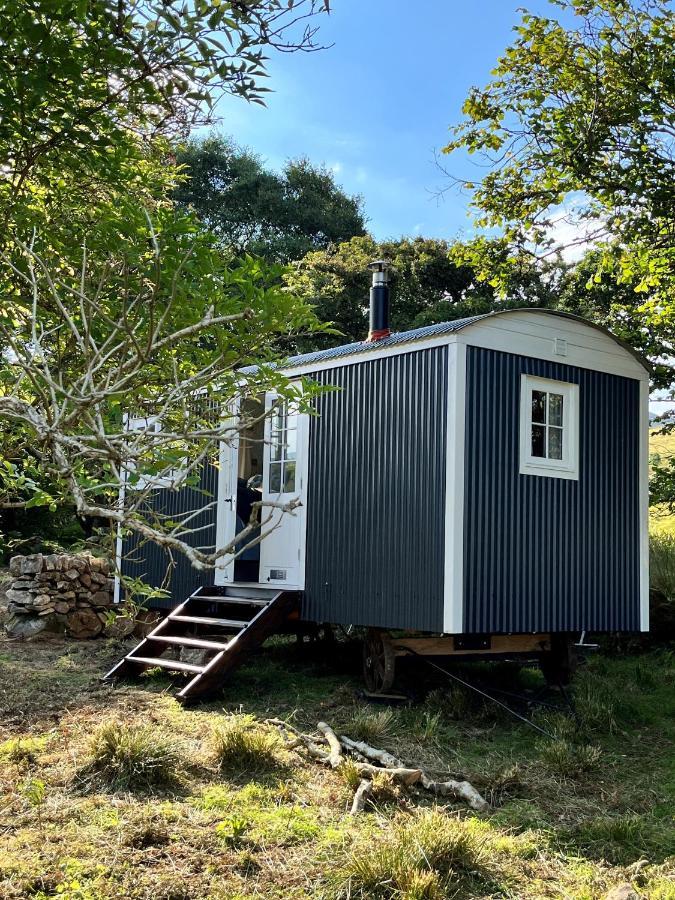Вілла The Hazel Hut Вестпорт Екстер'єр фото