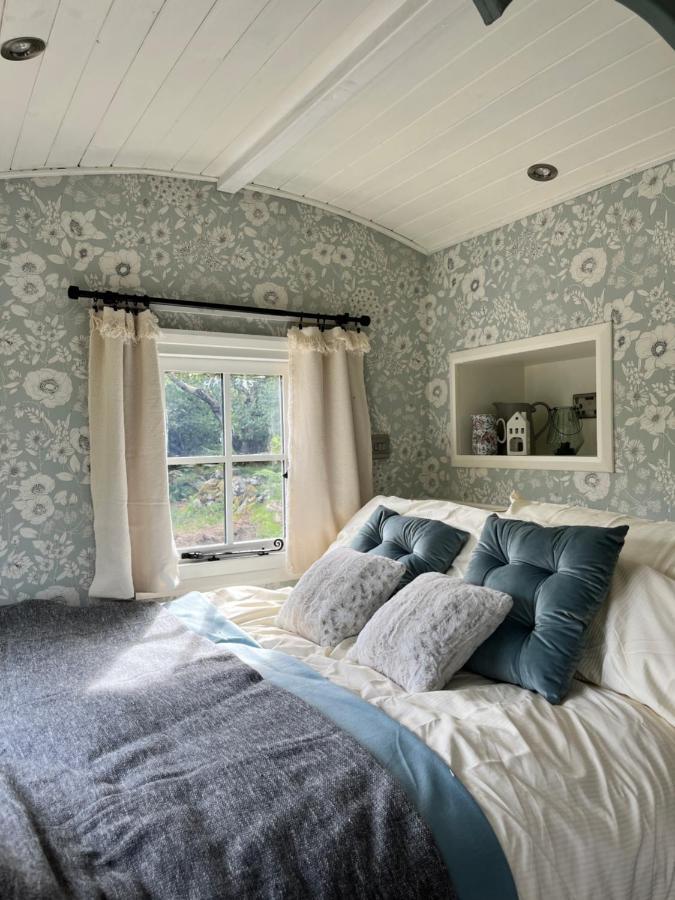Вілла The Hazel Hut Вестпорт Екстер'єр фото